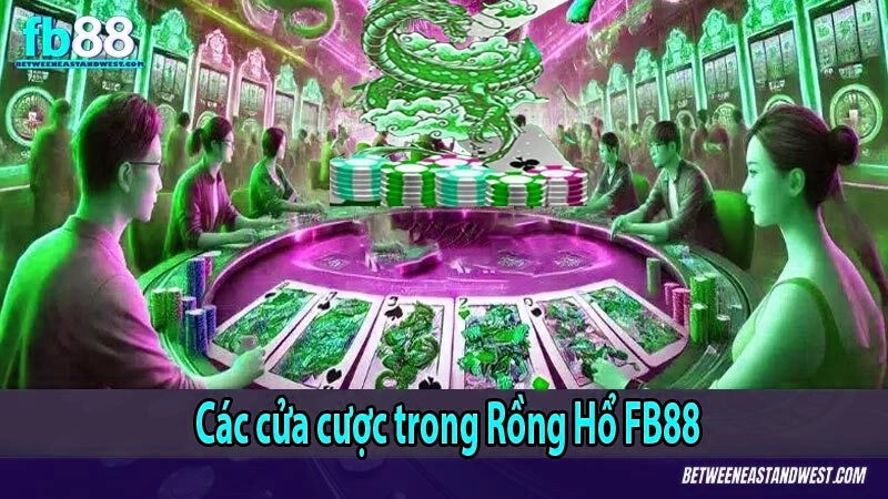 Các cửa cược trong Rồng Hổ x5bet