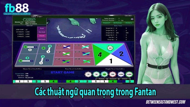Các thuật ngữ quan trọng trong Fantan
