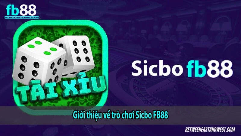 Giới thiệu về trò chơi Sicbo x5bet