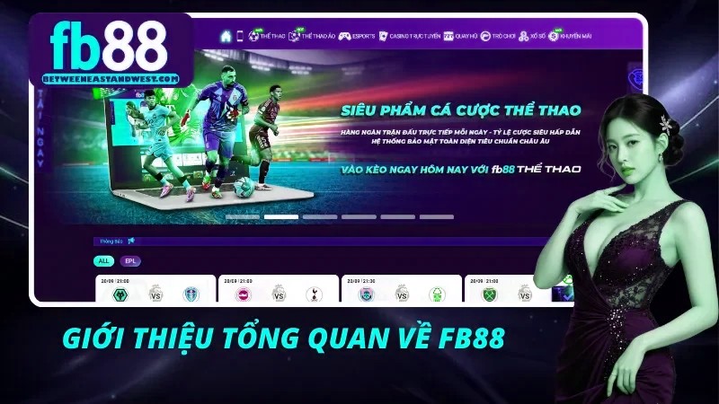Cái nhìn khách quan về x5bet